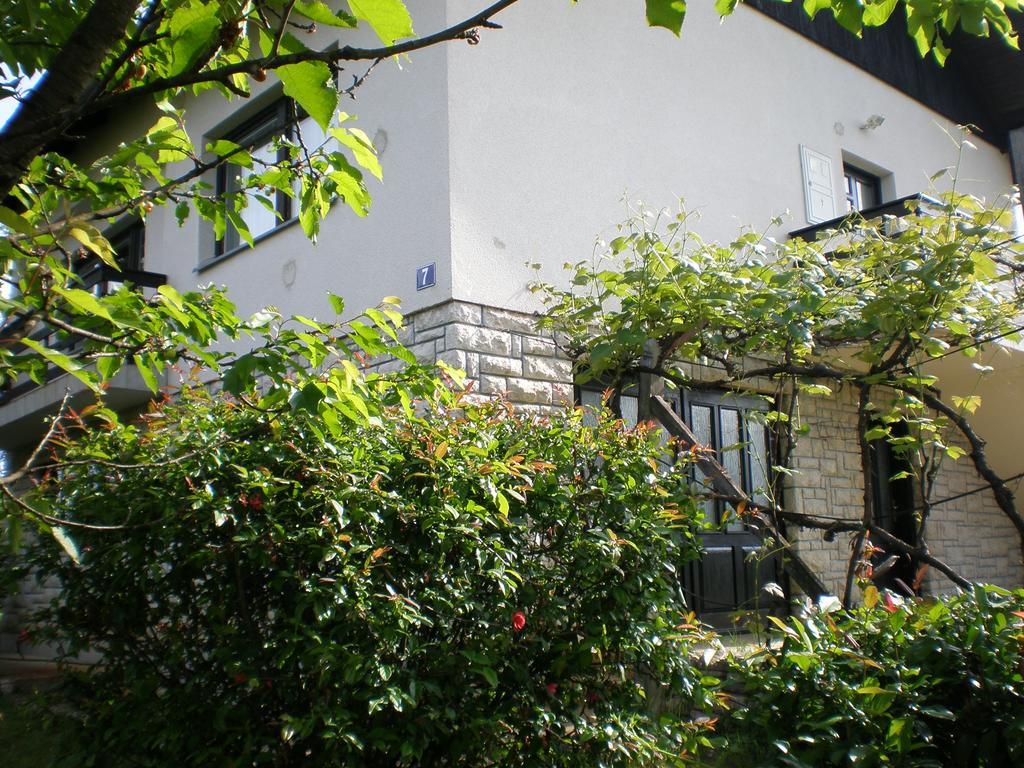 Apartment Vi&Mi Slunj Extérieur photo